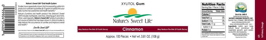 Xylitol Cinammon Gum