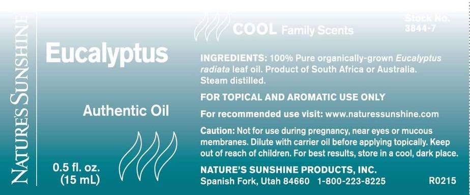 Eucalyptus - 100% Pure Essential Oil