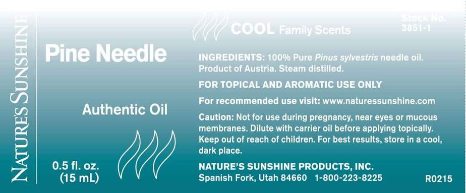 Pine Needle - 100% Pure Essential Oil