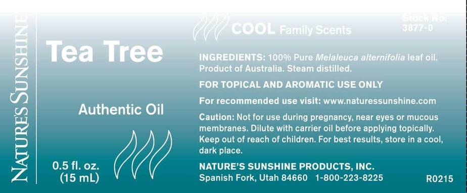 Tea Tree Oil