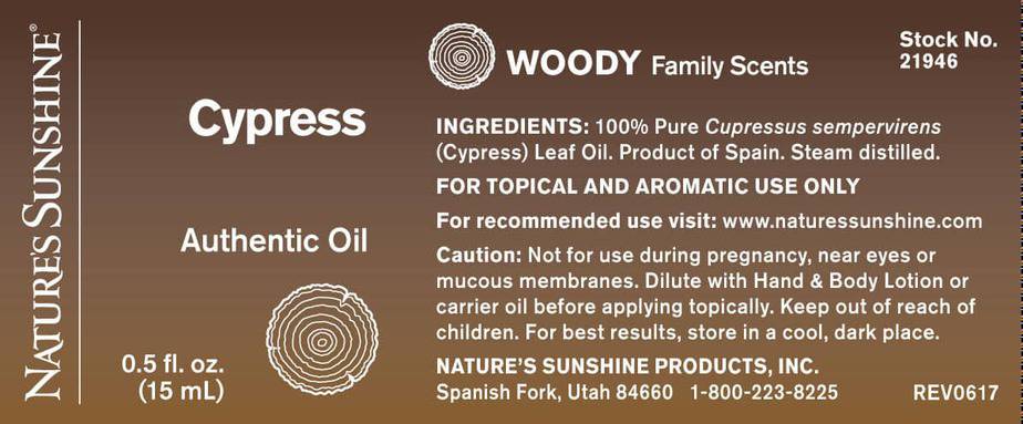 Cypress Authentic Essential Oil (15 ml) - 100% Pure Essential Oil