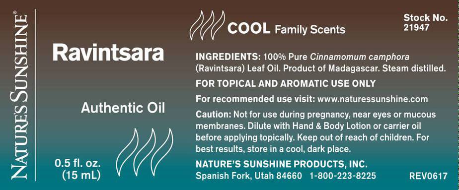 Ravintsara (15 ml.) - 100% Pure Essential Oil