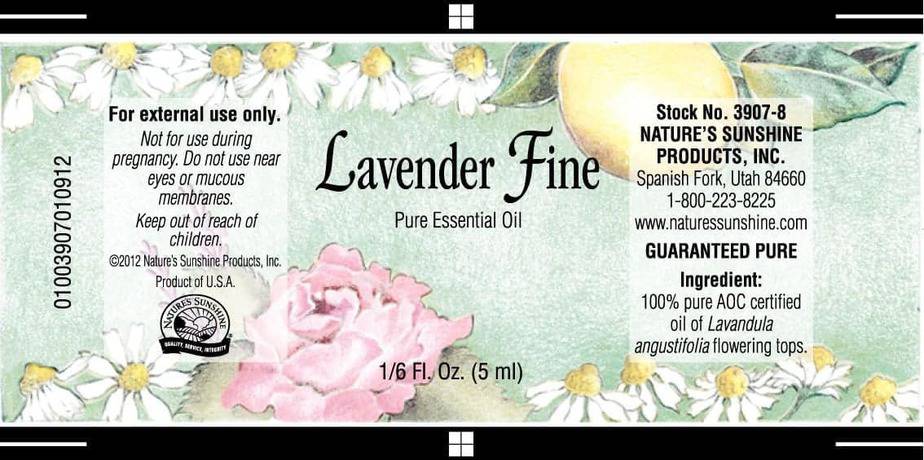 Lavender Fine AOC - 100% Pure Essential Oil