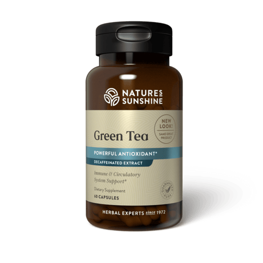 Green Tea Extract