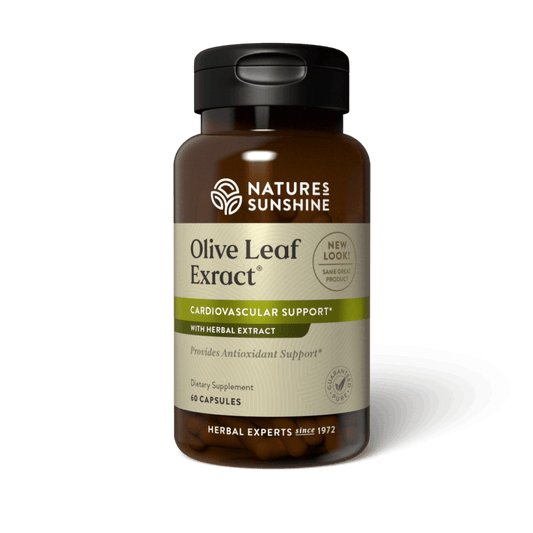 Olive Leaf Extract Concentrate