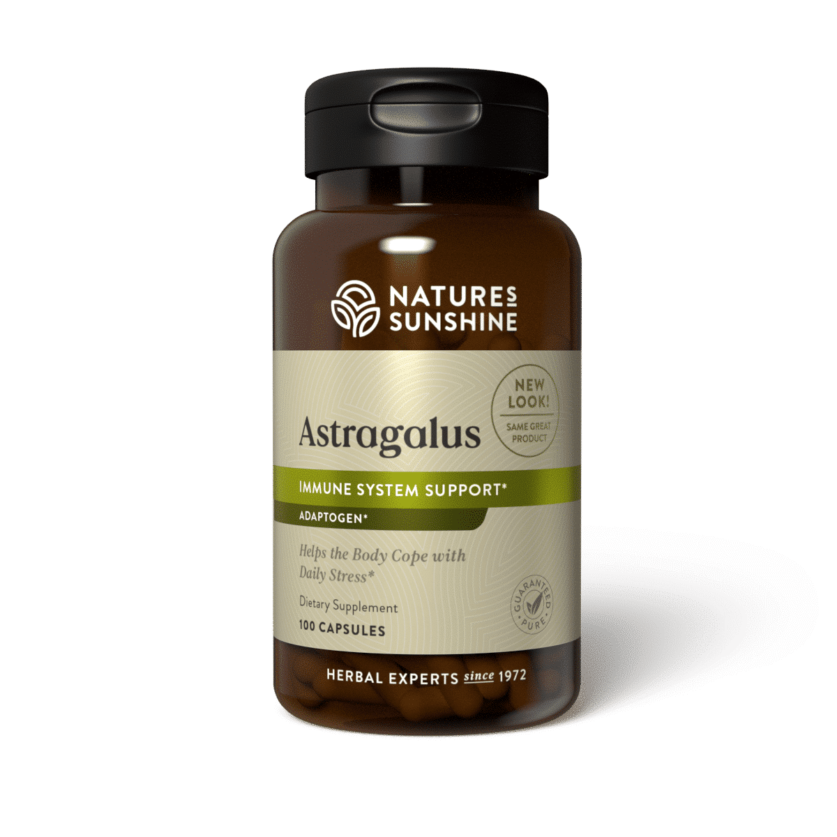 Astragalus Root