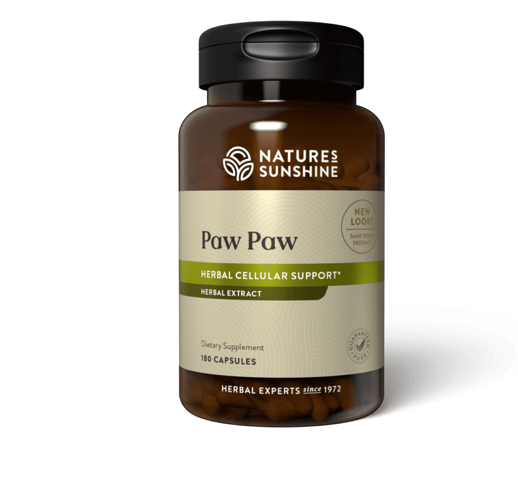 Paw Paw Cell-Reg