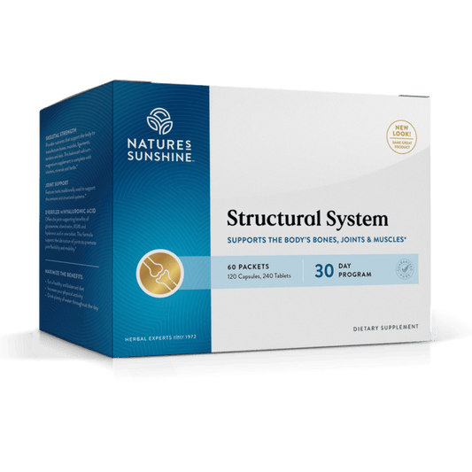 Structural System (30 day)