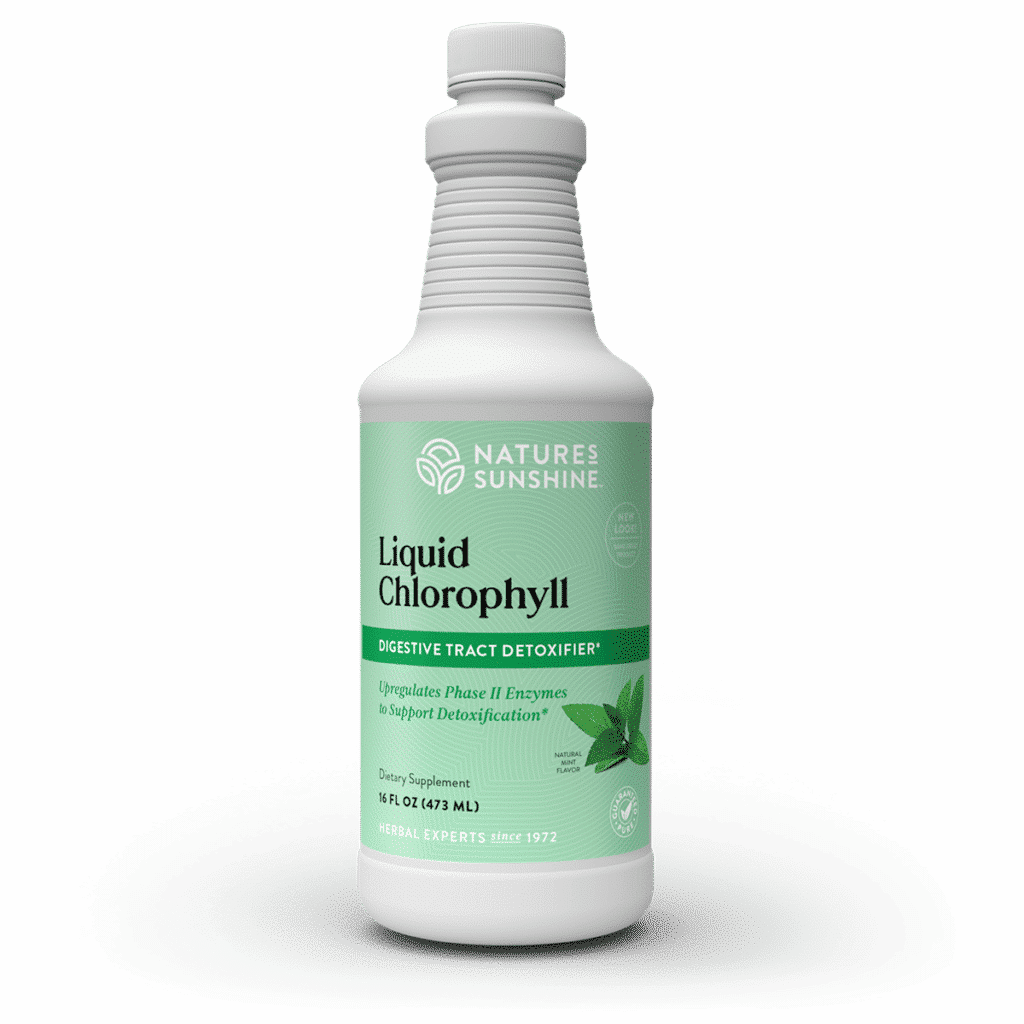 Chlorophyll, Liquid (16 fl. oz.)